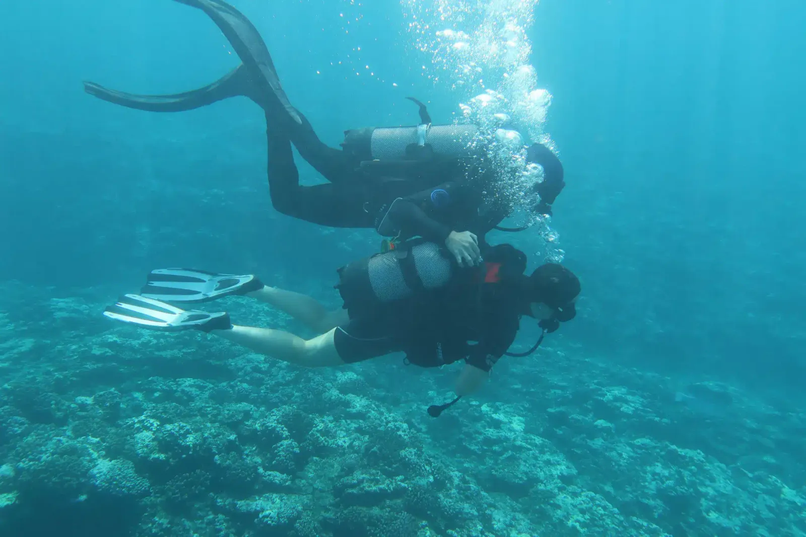 Plongeur en immersion