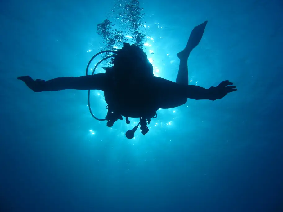 Plongeur explorant les fonds marins de La Réunion